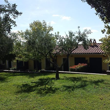 فيلا أريكتشيافي Agriturismo La Vite E Gli Ulivi المظهر الخارجي الصورة