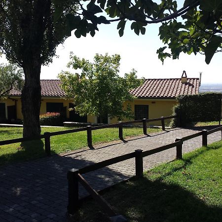 فيلا أريكتشيافي Agriturismo La Vite E Gli Ulivi المظهر الخارجي الصورة