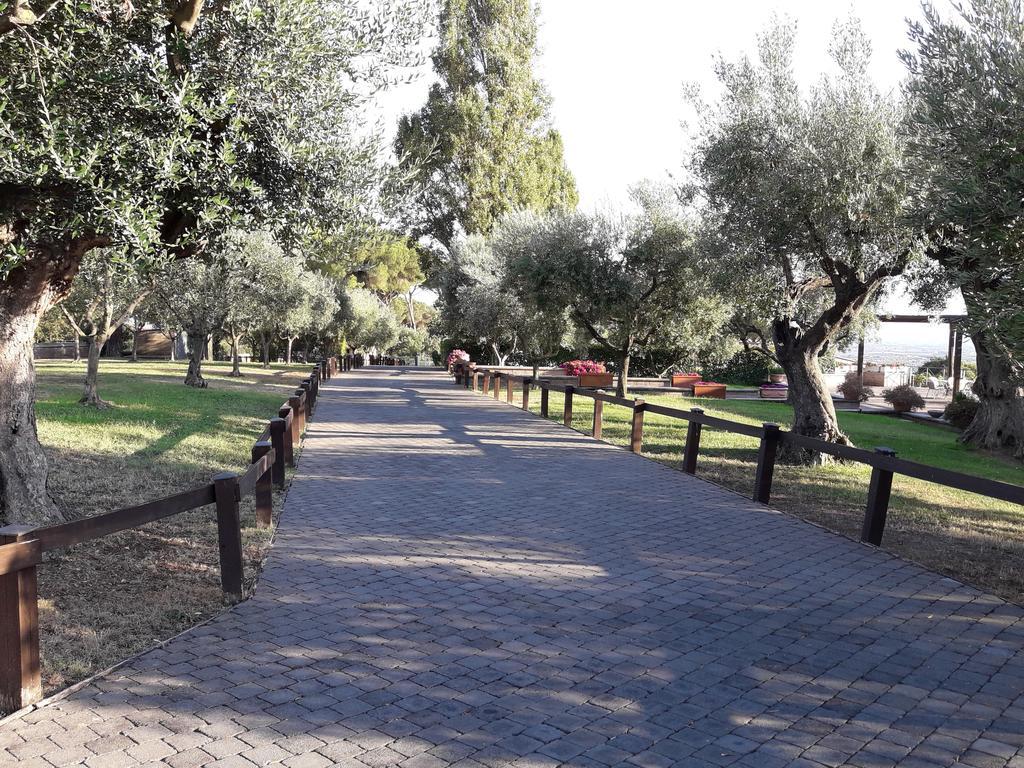 فيلا أريكتشيافي Agriturismo La Vite E Gli Ulivi المظهر الخارجي الصورة