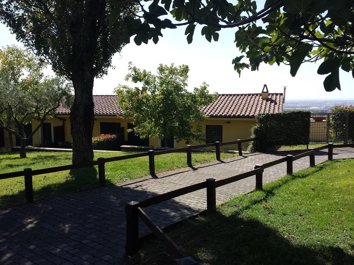 فيلا أريكتشيافي Agriturismo La Vite E Gli Ulivi المظهر الخارجي الصورة